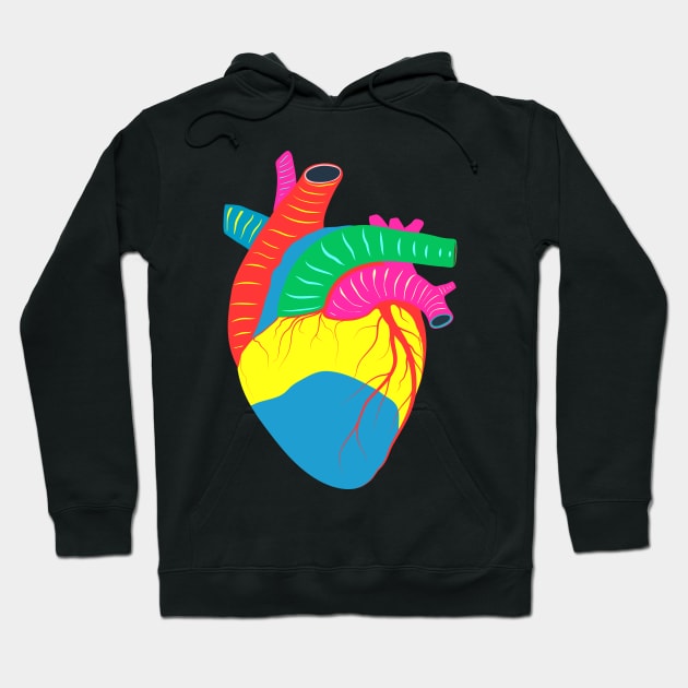 heart colorful anatomy Hoodie by Mako Design 